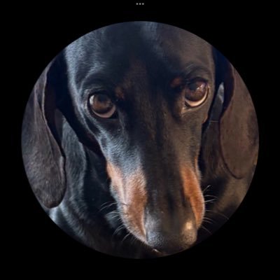 The noblest of all dogs is the hotdog It feeds the hand that bites it🌭 “Science is the belief in the ignorance of experts” -Richard Feynman