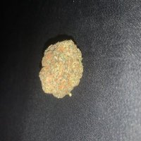 blu money (@1kfreaky) 's Twitter Profile