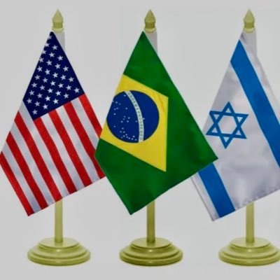 assisvidalf's profile picture. 