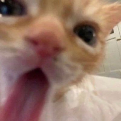 EmeowzaMeowza's profile picture. 