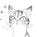 凡さんのプロフィール画像