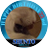 tommy_besty_m