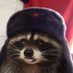 pacoon (@paccooon) Twitter profile photo pacoon (@paccooon) Twitter profile photo