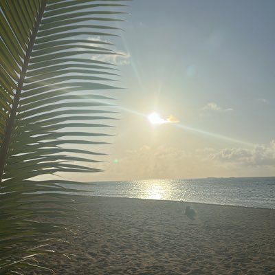 elcheguebara1's profile picture. dominican bisexual bear