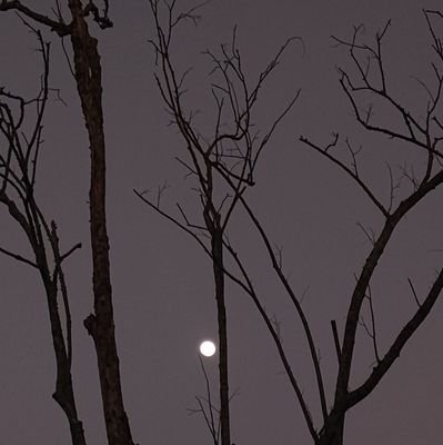 prastyaay's profile picture. 