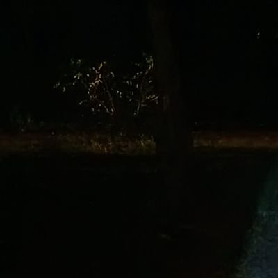 Axel28044518's profile picture. 