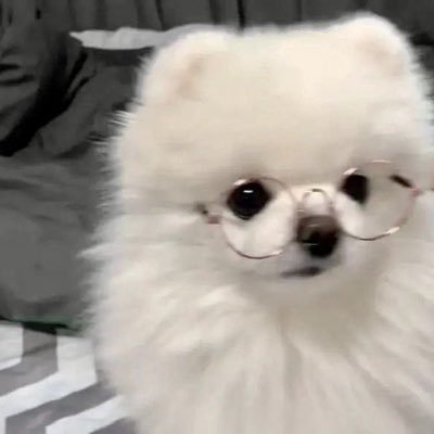 55fknyan_'s profile picture. 深澤くんが一等星𖤐´-