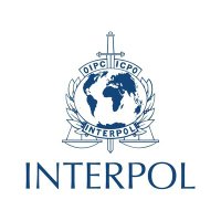 Cyber Interpol (@cinterpol67631) 's Twitter Profile
