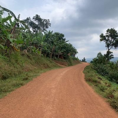 kasanyi_256's profile picture. 