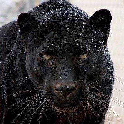 Hakan982369915's profile picture. 
