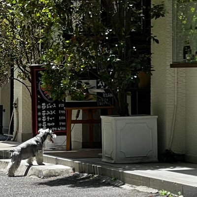 umeda_0817's profile picture. 