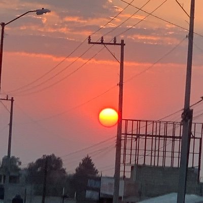 diego_dijatri's profile picture. 