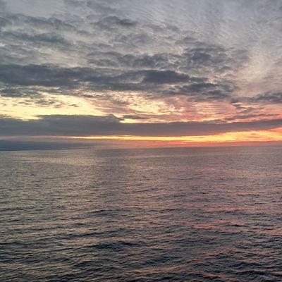 ArieO74257560's profile picture. nobody is everbody's friend