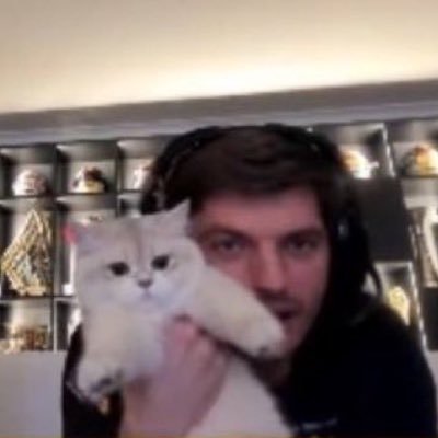 tavi o mitinho das interwebs¹ Profile