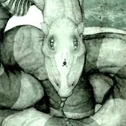 wizさんのプロフィール画像