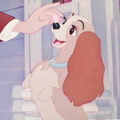 cflt_wck12's profile picture. 