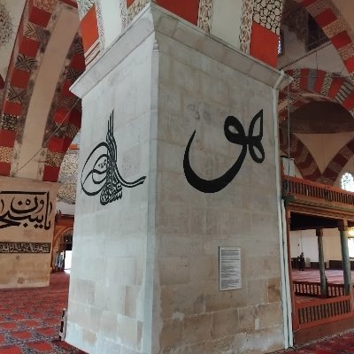 tr_shingakubu's profile picture. 強者男性