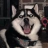 WestieMai's profile picture. Scientist. Nerd. Atheist. Recovering Roman Catholic.  “The good thing about science is that it's true whether or not you believe in it.” 🌊 ❄️ No DMs