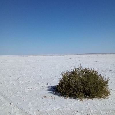 Morti_Ficada's profile picture. Separada recientemente de un narcisista. Bitácora de este alto viaje