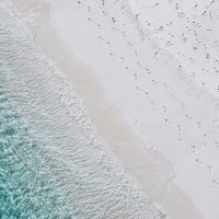 That Coastal Life (@mycoastallife2) 's Twitter Profile