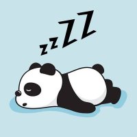 lazy panda (@lazy56507) 's Twitter Profile
