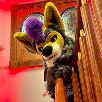 Kiro (@kirocoyowwo) 's Twitter Profile Photo Kiro (@kirocoyowwo) 's Twitter Profile Photo