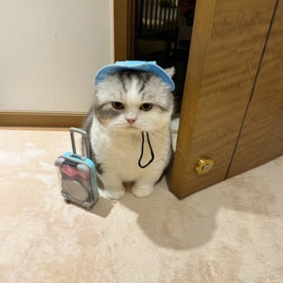 qw_tw8's profile picture. 25卒 /SIerﾁｭｱ