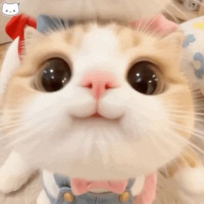 loser797611's profile picture. 