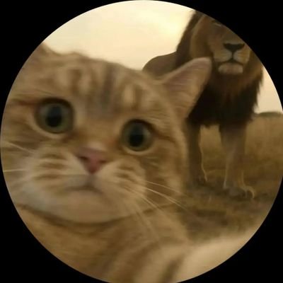 HenryNewmanAFR's profile picture. CTO at @verbosec_
Honour, Dignity, Prosperity. #KeepEyesOnSudan