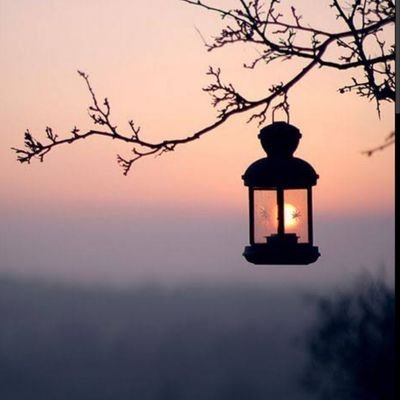 Türkçe Öğretmeni /
Türkçem benim ses bayrağım 🇹🇷