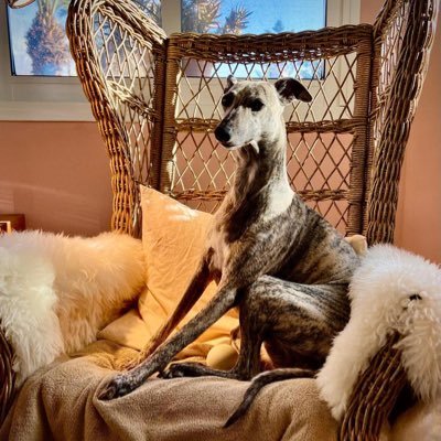 MurielVauthagen's profile picture. radically free - not interested in being the richest corpse on the graveyard