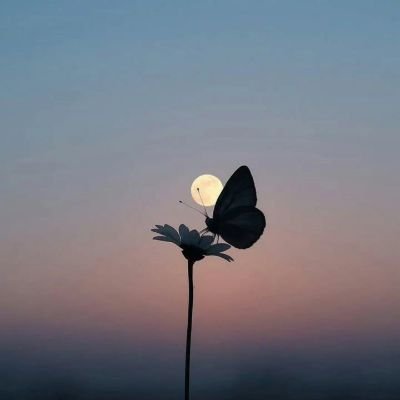 notvipppp's profile picture. Napaka-imaginative ng Tao at di nauubusan ng mga bagong paraan ng pagdurusa.