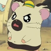 まる (@24vel0) 's Twitter Profile