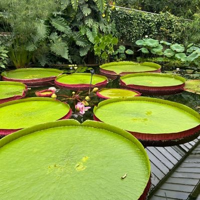 kenneth69602013's profile picture. 