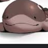 Unluckycoco (@coco36445129) 's Twitter Profile