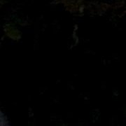 90loyus's profile picture. dkdkskskke