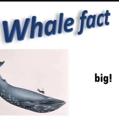 ethanmo57121528's profile picture. 