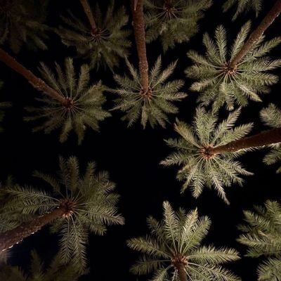 ali015055023318's profile picture. ،💔