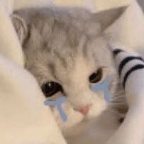 whispernite_04's profile picture. ไว้ลงรูปเฉยๆ 🫣ขอบคุณสำหรับการติดตามนะคะ 😽