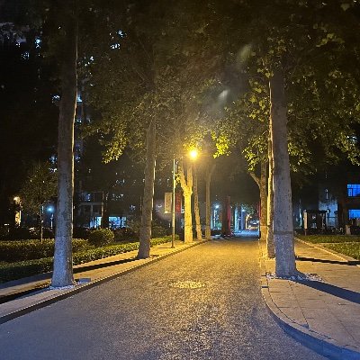 zhuang32222777's profile picture. Be busy in survive