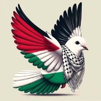 Mahmod from Gaza (@mb1877857) 's Twitter Profile