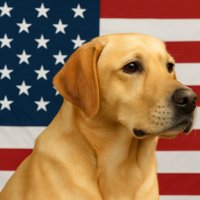 Triggered Patriot (@1776returns) 's Twitter Profile