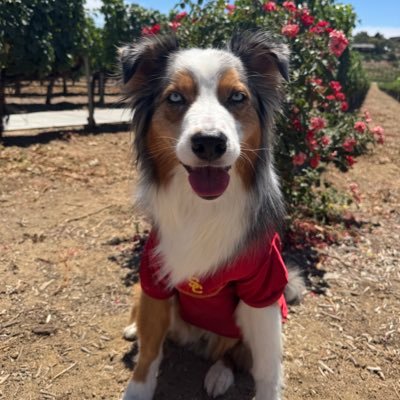 @FightOnRusty