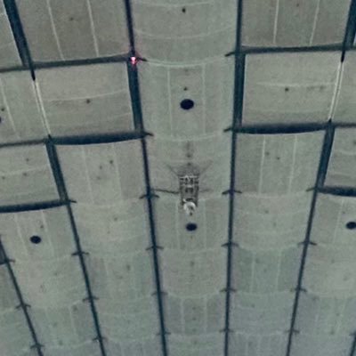 noritamayaka's profile picture. 