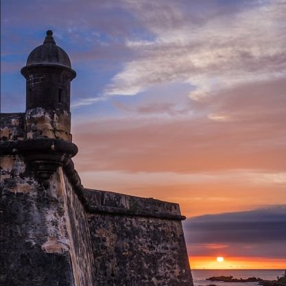 JoseACa50357893's profile picture. 