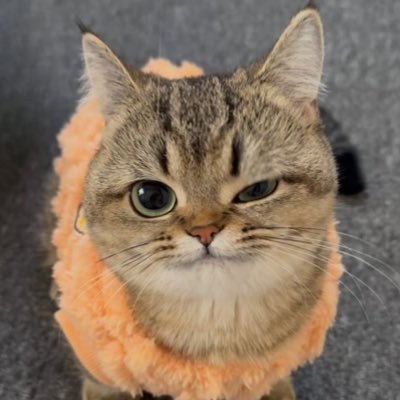 欲にきりなし、地獄に底なし