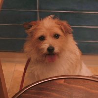 ๐๐๐๐๐๐๐ (@dearmyorion) 's Twitter Profile