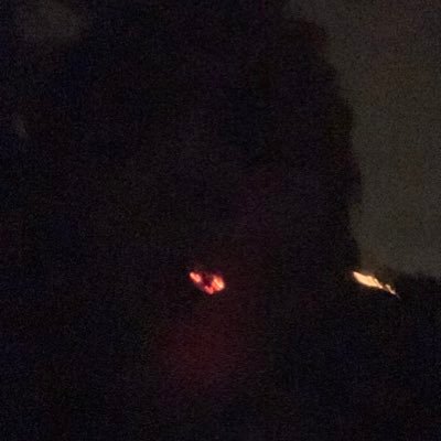 Deadbunne's profile picture. 19 | he/him