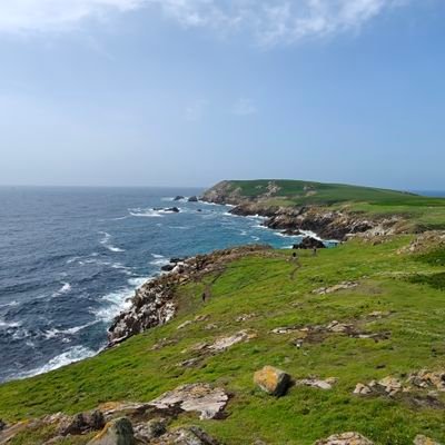 owenyoung1234's profile picture. All views are my own. LFC 🔴🔴