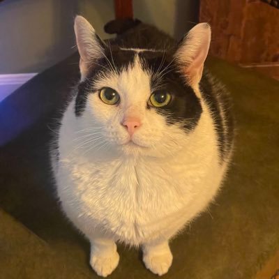 LondoonWilliams's profile picture. University of Georgia 2028
#TrueToAtlanta